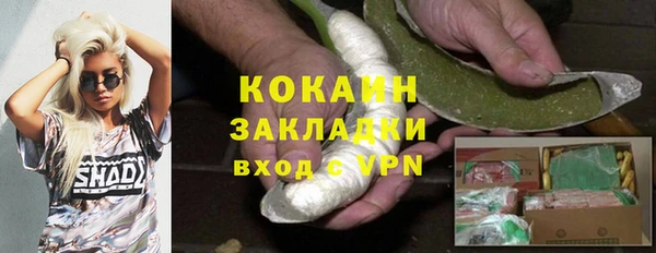гашик Алексин