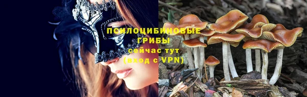 дмт Алзамай