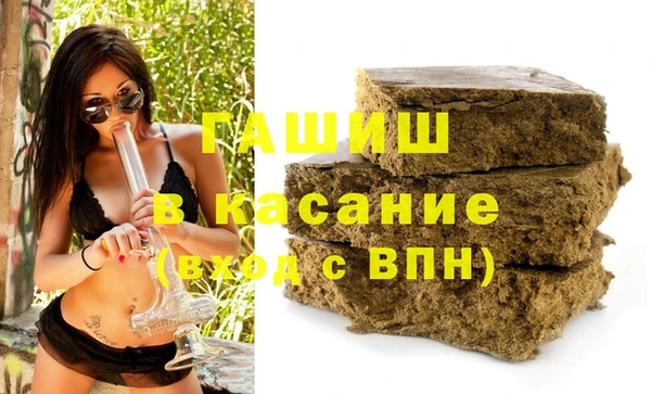 гашик Алексин