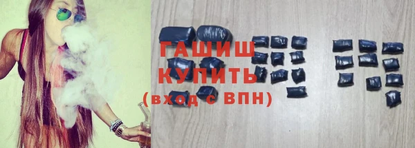 гашик Алексин