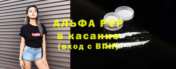 гашик Алексин