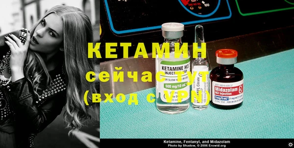 гашик Алексин