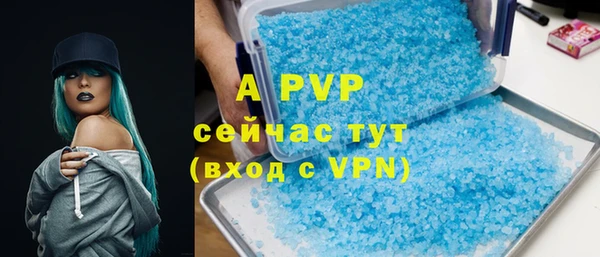 гашик Алексин