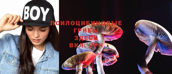 дмт Алзамай