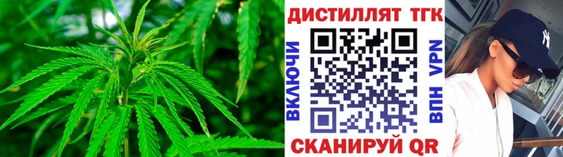 ОМГ ОМГ вход  Асино  Дистиллят ТГК THC oil  закладки 