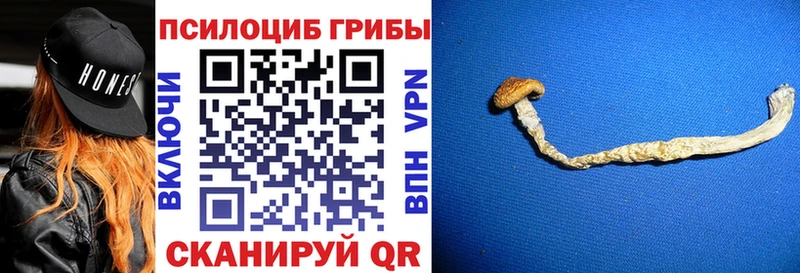 Псилоцибиновые грибы Psilocybine cubensis  цена наркотик  Асино 