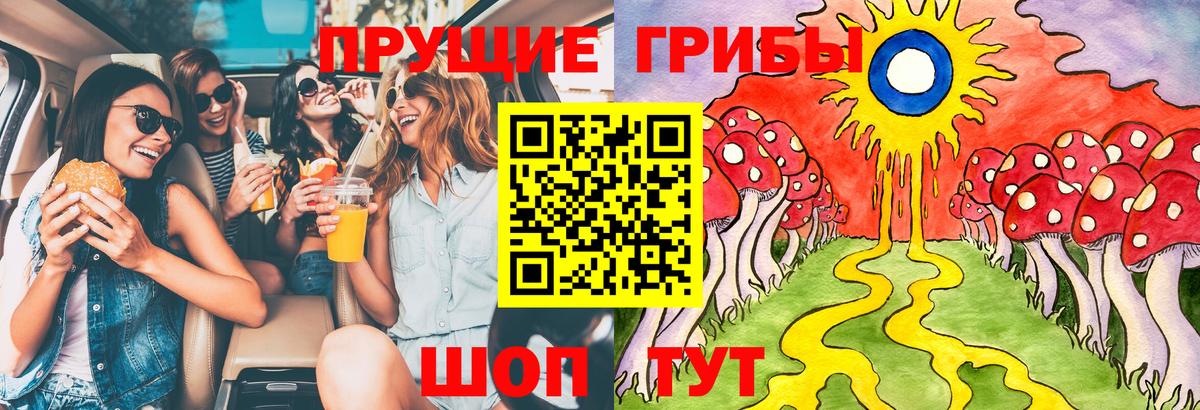 Псилоцибиновые грибы Magic Shrooms  Псилоцибиновые грибы Psilocybe  Вход с VPN  купить наркотики цена  Асино 