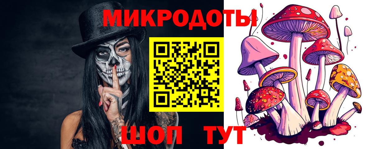 Псилоцибиновые грибы MAGIC MUSHROOMS Асино