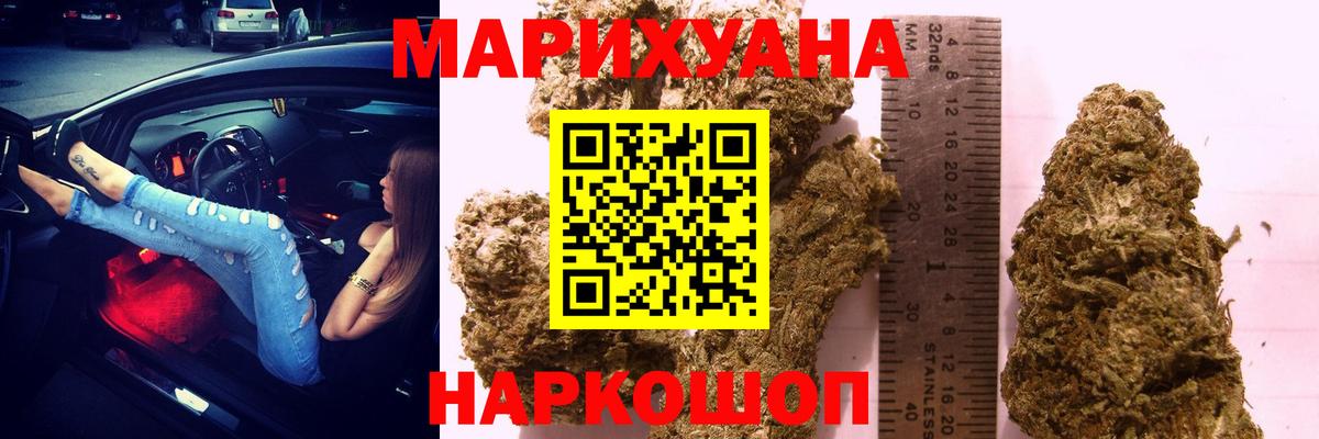 Канабис сатива Асино